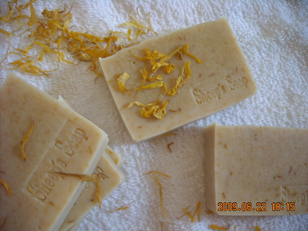 DSCN0296.JPG DSCN0296.JPG