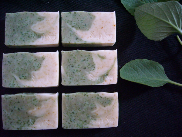 DSCN0010.JPG DSCN0010.JPG