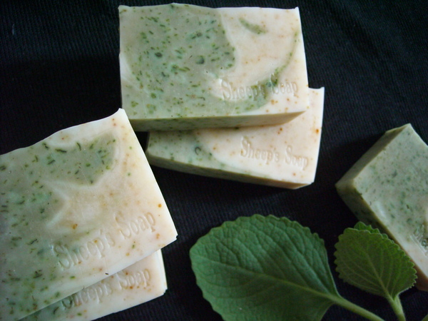 DSCN0015.JPG DSCN0015.JPG