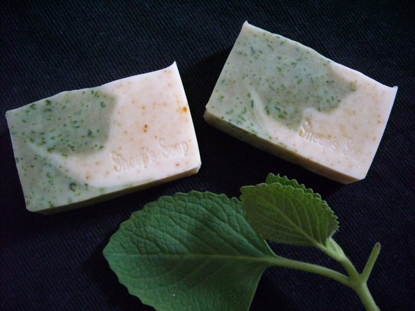 DSCN0017.JPG DSCN0017.JPG