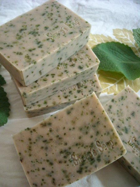 DSCN0021.JPG DSCN0021.JPG