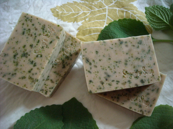 DSCN0024.JPG DSCN0024.JPG