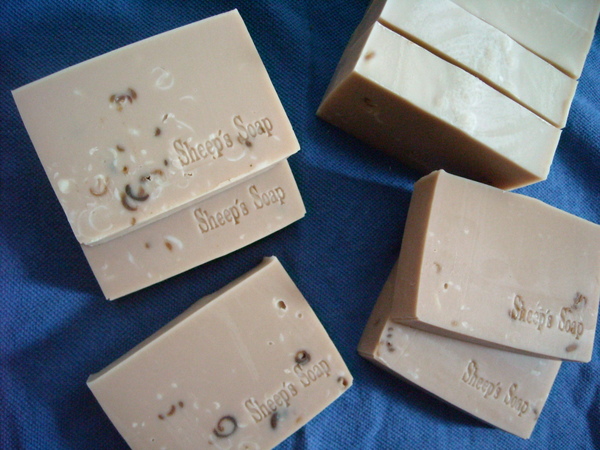 DSCN0026.JPG DSCN0026.JPG