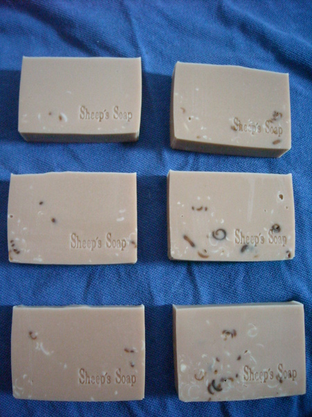 DSCN0029.JPG DSCN0029.JPG