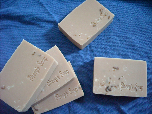 DSCN0030.JPG DSCN0030.JPG