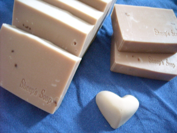 DSCN0037.JPG DSCN0037.JPG