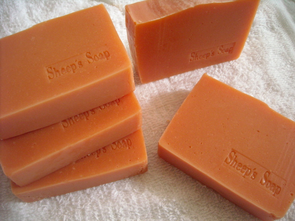 DSCN0163.JPG DSCN0163.JPG