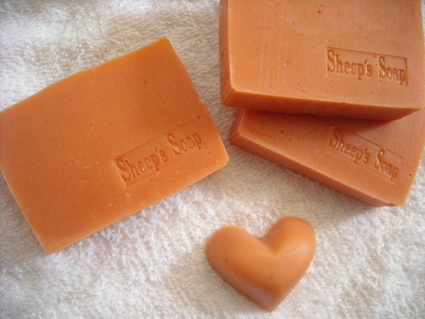 DSCN0167.JPG DSCN0167.JPG