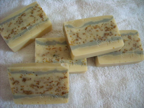 DSCN0187.JPG DSCN0187.JPG