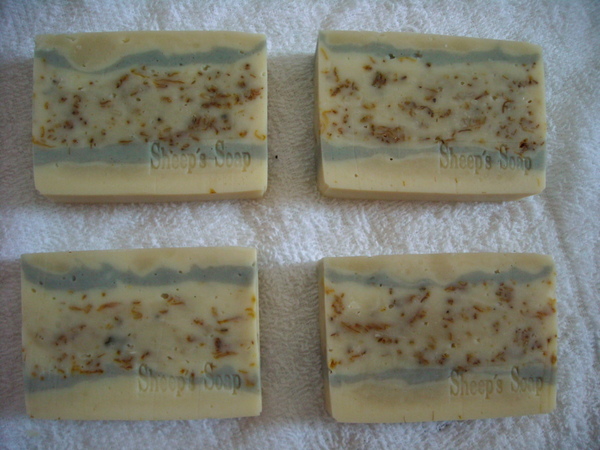 DSCN0189.JPG DSCN0189.JPG