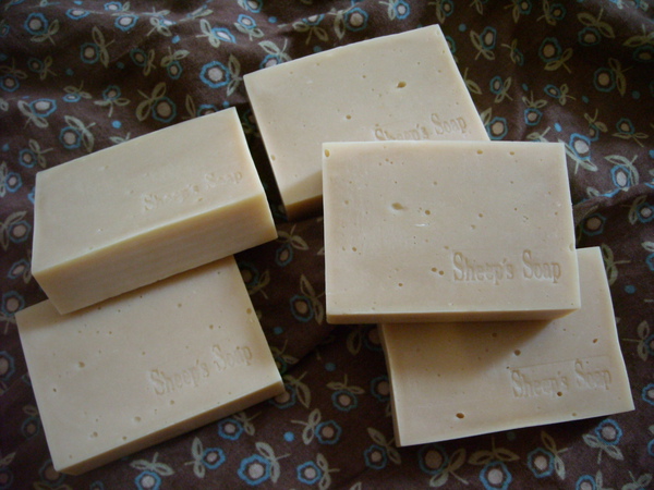 DSCN0018.JPG DSCN0018.JPG