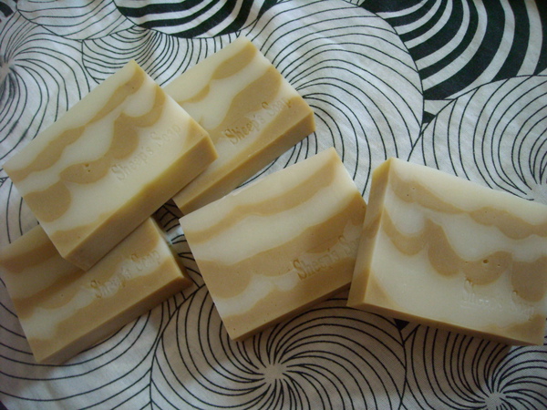 DSCN0024.JPG DSCN0024.JPG