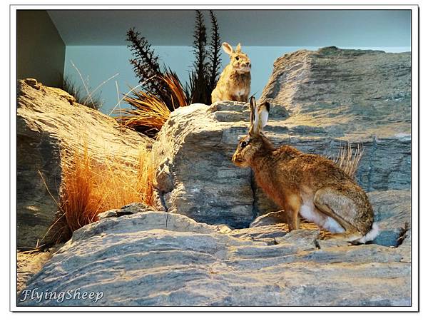 P1220830.JPG P1220830.JPG