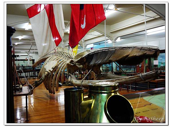 P1220937.JPG P1220937.JPG