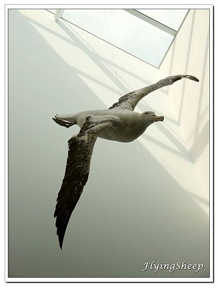 P1220834.JPG P1220834.JPG