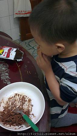 臭皮不停的吃點心餅 臭皮不停的吃點心餅