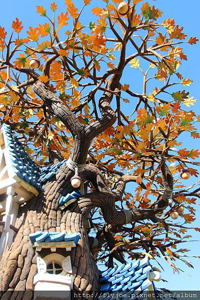 2012.12.06 015 2012.12.06 015