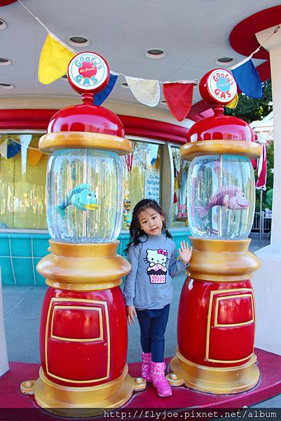 2012.12.06 019 2012.12.06 019