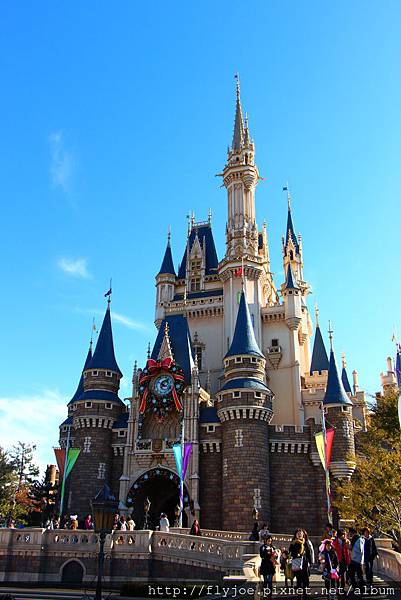 2012.12.06 025 2012.12.06 025