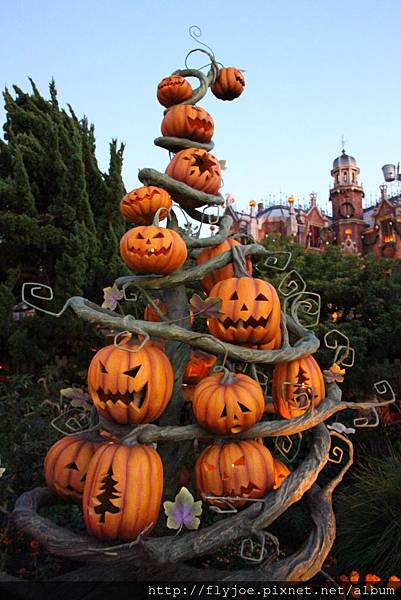 2012.12.06 052 2012.12.06 052