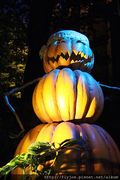 2012.12.06 053 2012.12.06 053