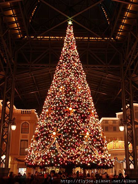 2012.12.06 134 2012.12.06 134