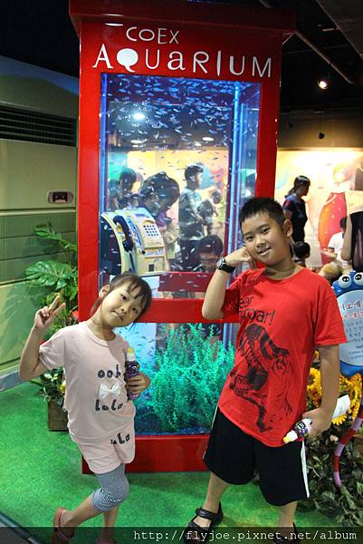 2013.08.04 009.jpg 2013.08.04 009.jpg