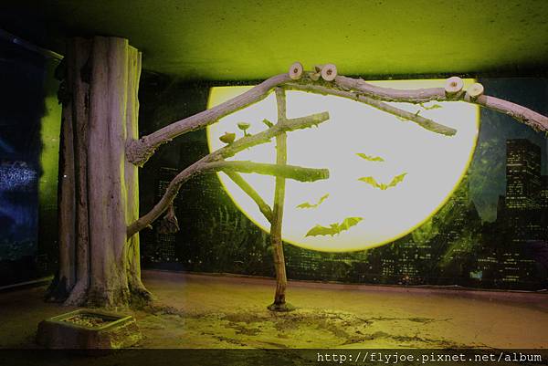 2013.08.04 014.jpg 2013.08.04 014.jpg