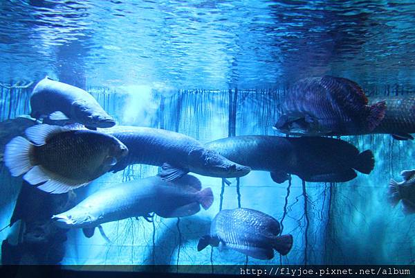 2013.08.04 015.jpg 2013.08.04 015.jpg