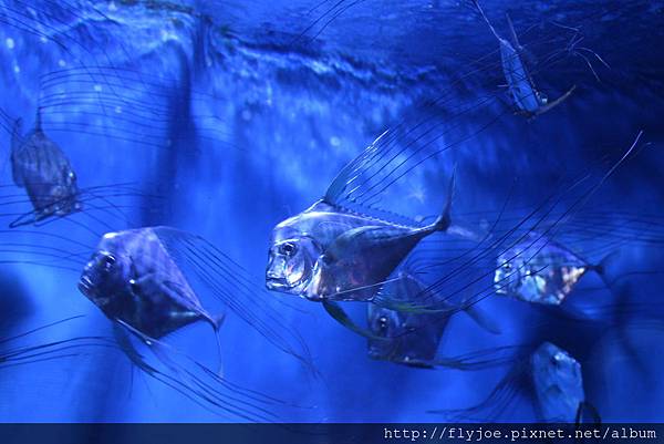 2013.08.04 016.jpg 2013.08.04 016.jpg