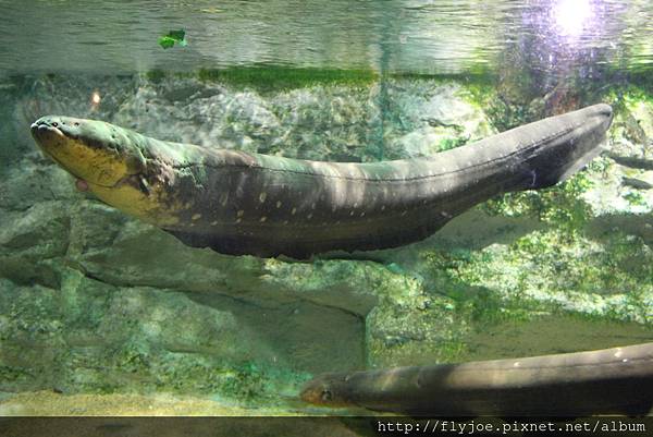 2013.08.04 017.jpg 2013.08.04 017.jpg