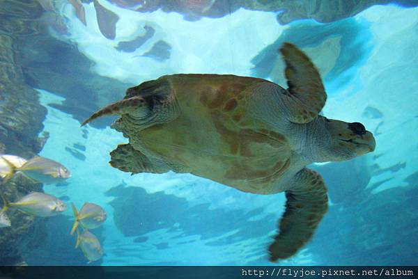 2013.08.04 018.jpg 2013.08.04 018.jpg