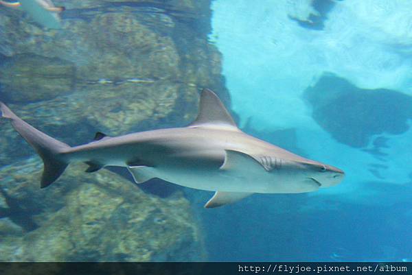 2013.08.04 019.jpg 2013.08.04 019.jpg