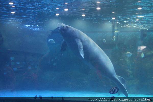 2013.08.04 020.jpg 2013.08.04 020.jpg