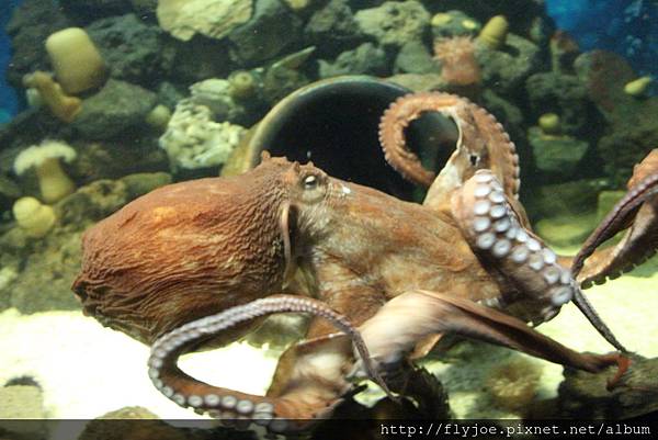 2013.08.04 021.jpg 2013.08.04 021.jpg