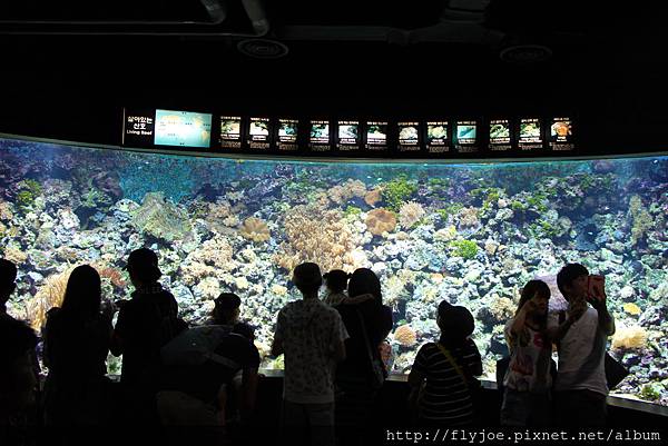 2013.08.04 023.jpg 2013.08.04 023.jpg