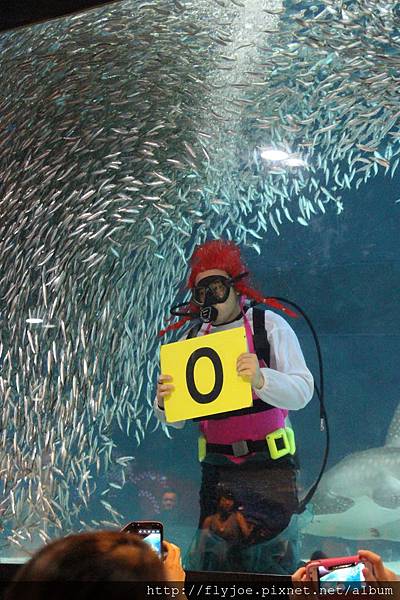 2013.08.04 026.jpg 2013.08.04 026.jpg