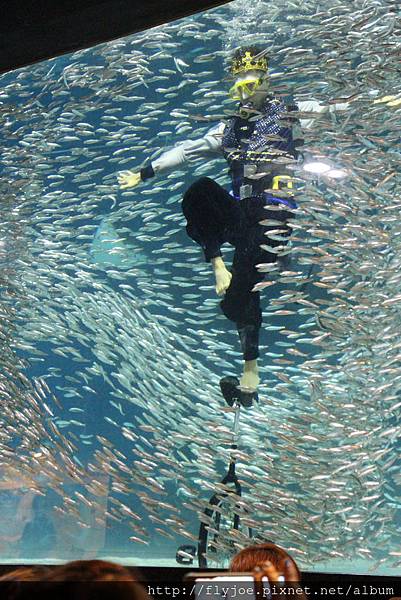 2013.08.04 027.jpg 2013.08.04 027.jpg