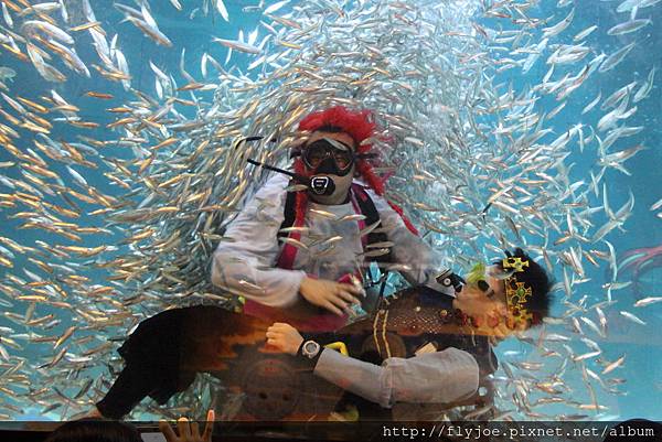 2013.08.04 028.jpg 2013.08.04 028.jpg