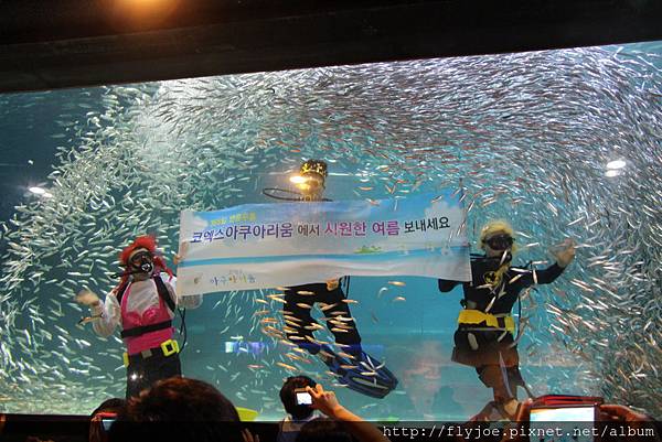 2013.08.04 029.jpg 2013.08.04 029.jpg