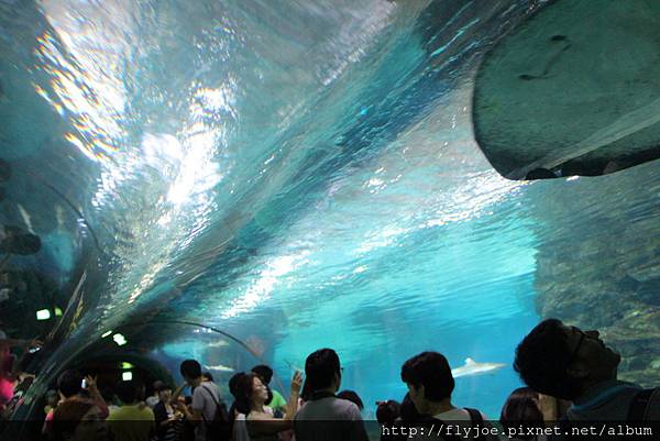 2013.08.04 030.jpg 2013.08.04 030.jpg