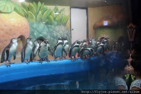 2013.08.04 031.jpg 2013.08.04 031.jpg