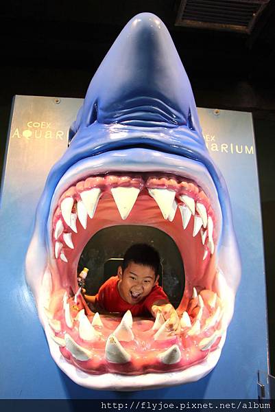 2013.08.04 032.jpg 2013.08.04 032.jpg