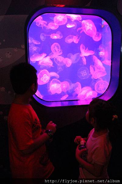 2013.08.04 034.jpg 2013.08.04 034.jpg