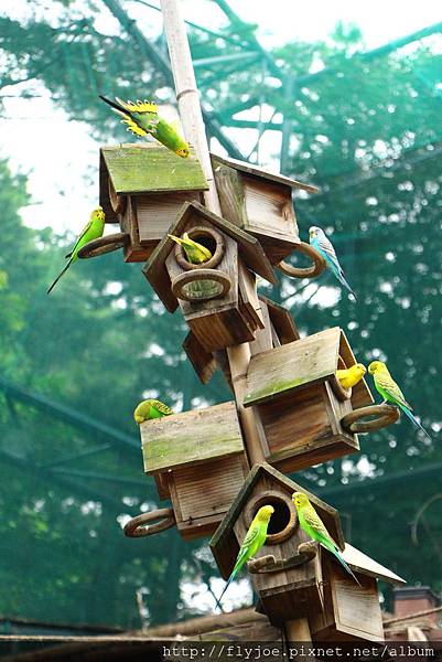 2013.08.07 011.jpg 2013.08.07 011.jpg