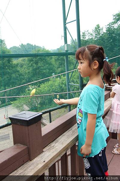 2013.08.07 014.jpg 2013.08.07 014.jpg