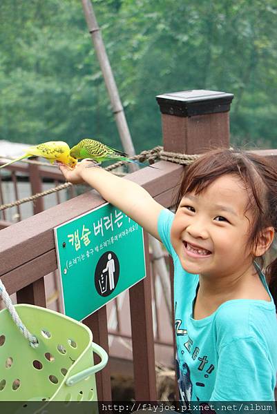 2013.08.07 015.jpg 2013.08.07 015.jpg