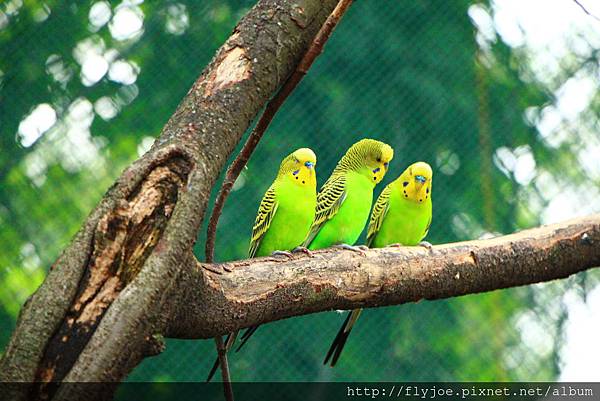 2013.08.07 017.jpg 2013.08.07 017.jpg