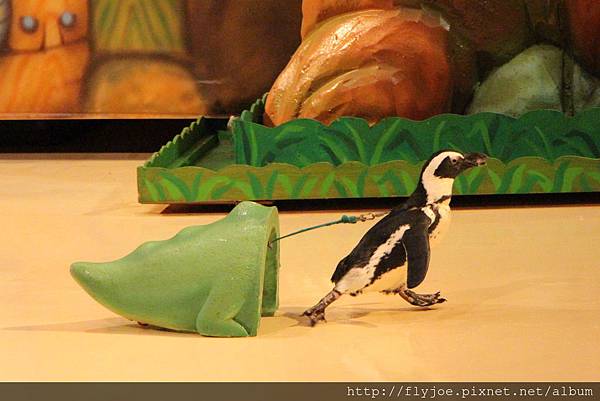 2013.08.07 020.jpg 2013.08.07 020.jpg