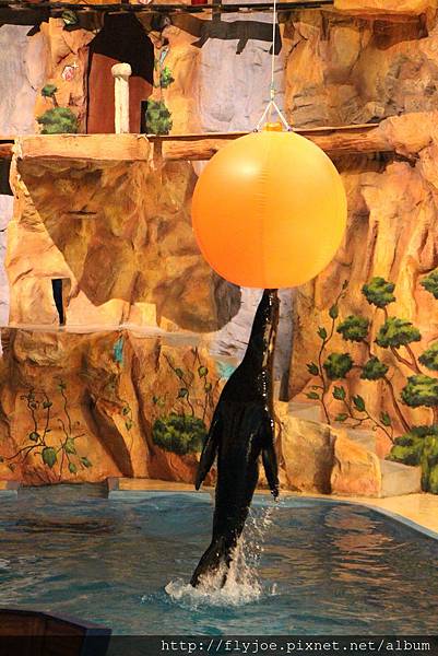 2013.08.07 021.jpg 2013.08.07 021.jpg